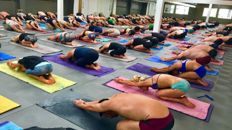 bikram yoga class in progress rotterdam hauge